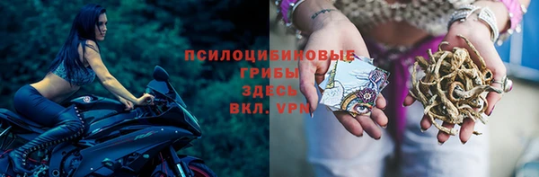 прущая мука Ладушкин